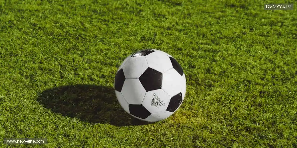 🎯专业装备,助你突破极限边界!